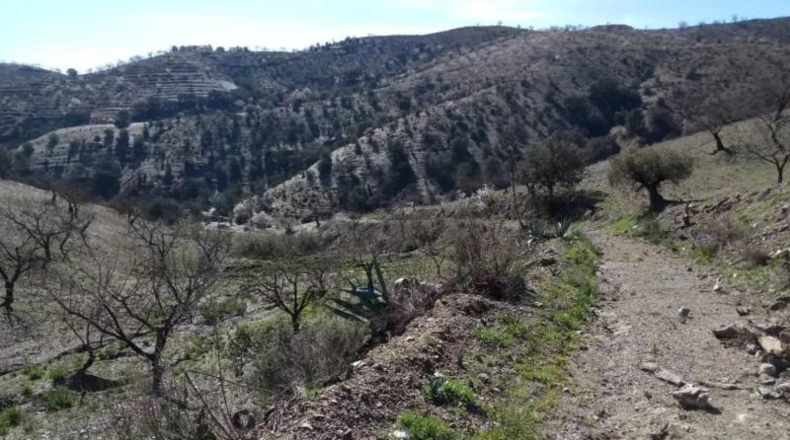 Murcia - Puerto Lumbreras - 464m2
