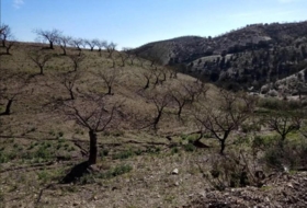 Puerto Lumbreras 464&nbsp;m²
