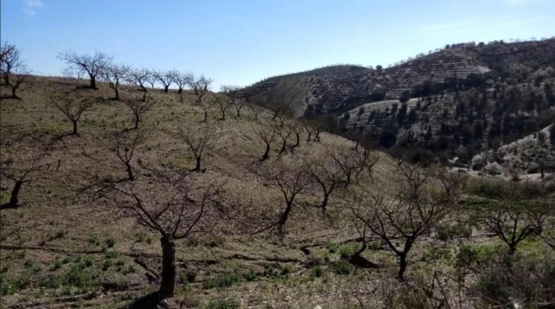 Murcia - Puerto Lumbreras - 464m2