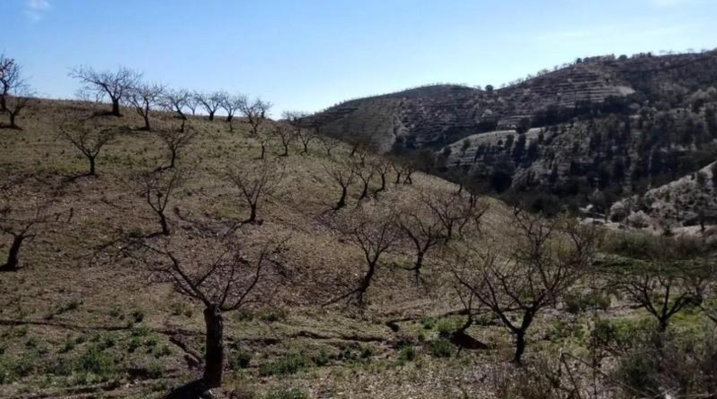 Murcia - Puerto Lumbreras - 464m2