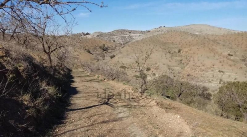 Murcia - Puerto Lumbreras - 464m2