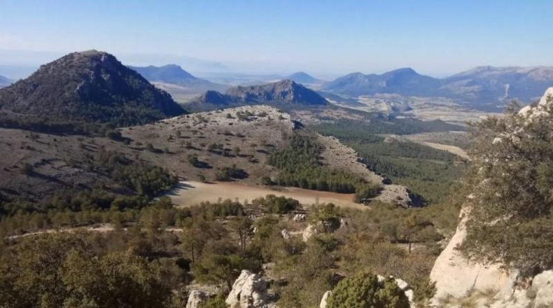 Murcia - Puerto Lumbreras - 464m2