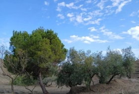 Puerto Lumbreras 464&nbsp;m²