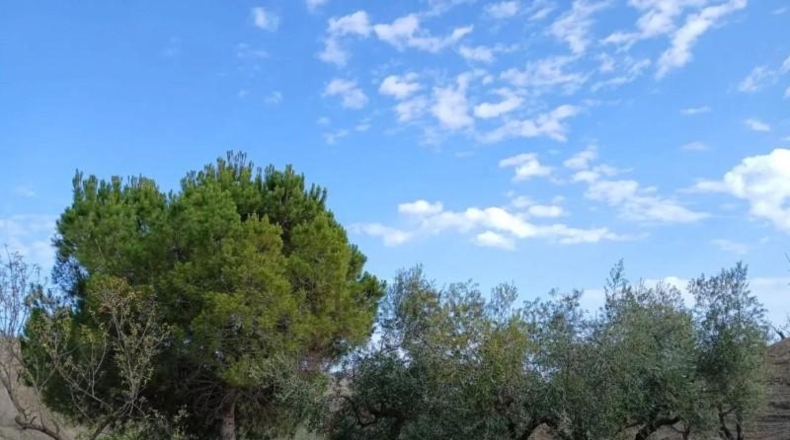 Murcia - Puerto Lumbreras - 464m2