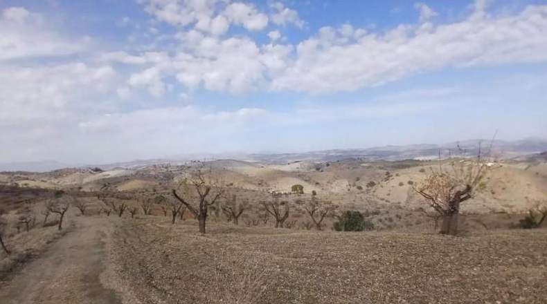Murcia - Puerto Lumbreras - 464m2