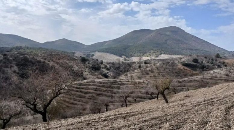 Murcia - Puerto Lumbreras - 464m2