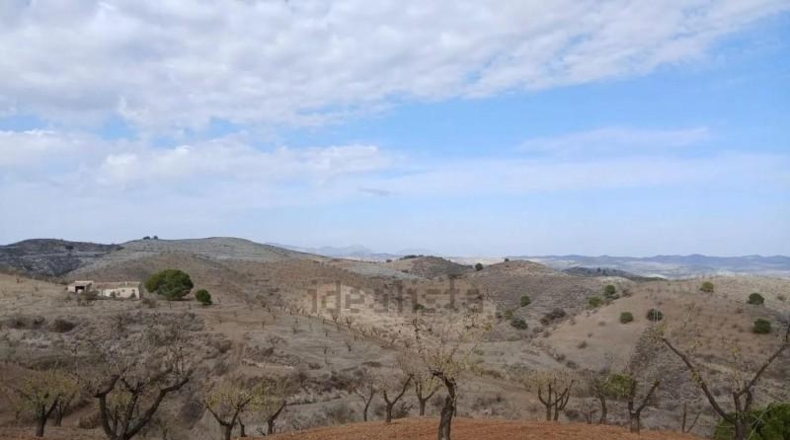 Murcia - Puerto Lumbreras - 464m2