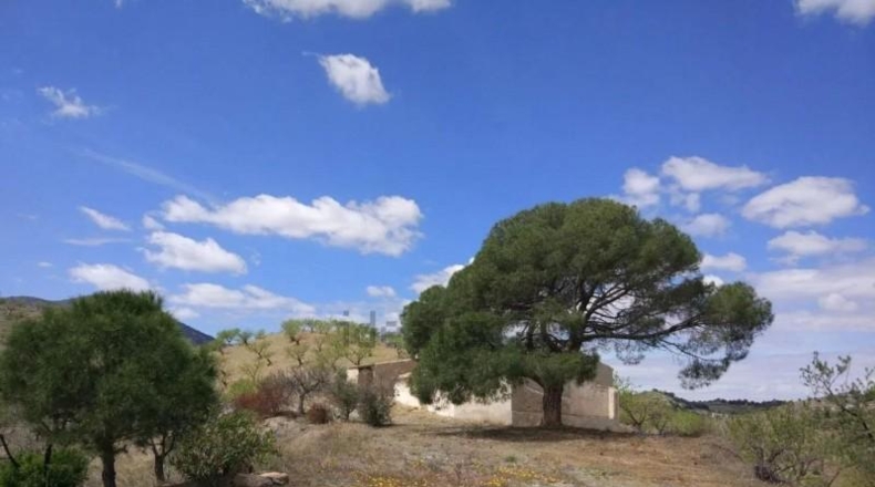 Murcia - Puerto Lumbreras - 464m2