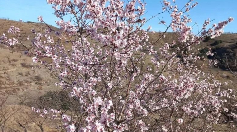Murcia - Puerto Lumbreras - 464m2