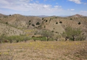 Parcel·la urbanitzable en venda a la España, Puerto Lumbreras, ref.: TR243908 foto