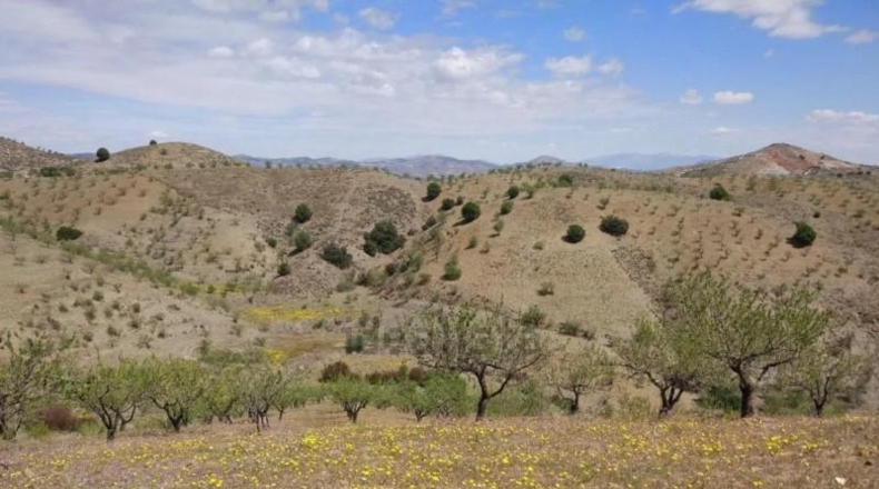 Murcia - Puerto Lumbreras - 464m2