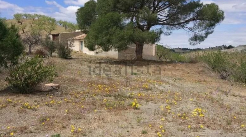 Murcia - Puerto Lumbreras - 464m2