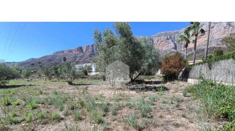 Alicante - Jávea - 2945m2