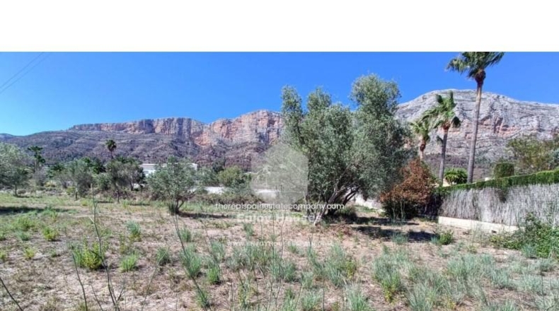 Alicante - Jávea - 2945m2