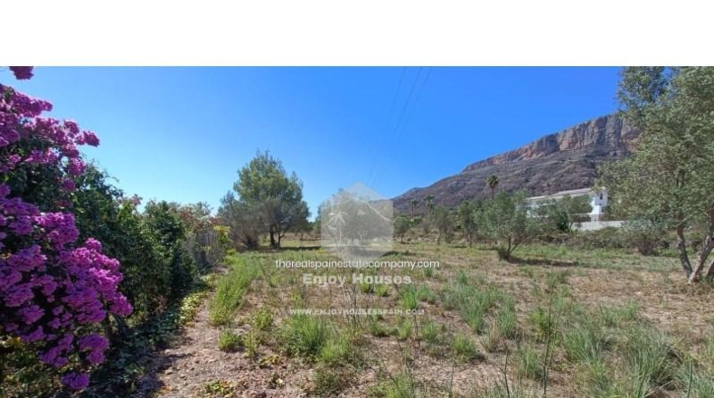 Alicante - Jávea - 2945m2