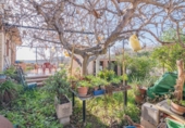 Finca rústica en venta en la España, Molvízar, ref: TR291038 foto