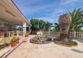 Chalet independiente con terreno en venta en la España, Novelda, ref: TR161174 foto