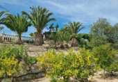 Chalet independiente con terreno en venta en la España, Novelda, ref: TR161174 foto
