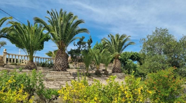 Alicante - Novelda - 1600m2