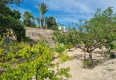 Chalet independiente con terreno en venta en la España, Novelda, ref: TR161174 foto