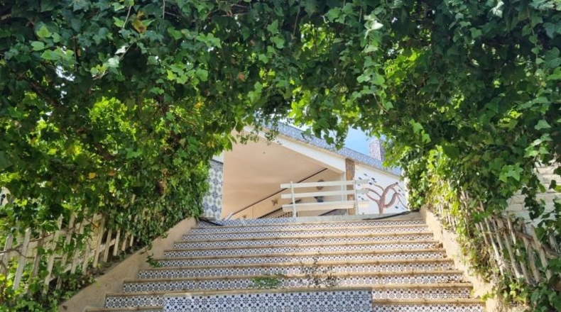 Alicante - Novelda - 1600m2