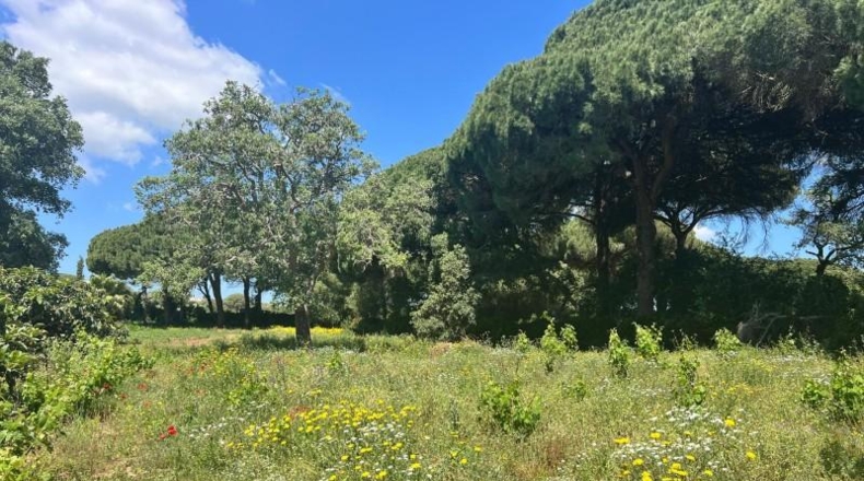 Cádiz - Vejer de la Frontera - 37m2
