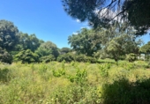 Casa de camp amb terreny en venda a la España, Vejer de la Frontera, ref.: TR162060 foto