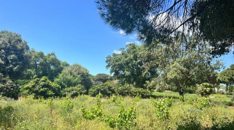 Cádiz - Vejer de la Frontera - 37m2