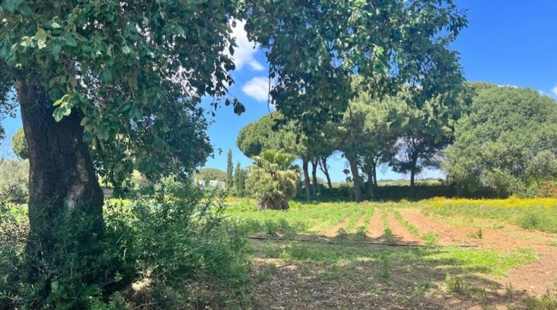 Cádiz - Vejer de la Frontera - 37m2
