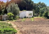 Casa de camp amb terreny en venda a la España, Vejer de la Frontera, ref.: TR162060 foto