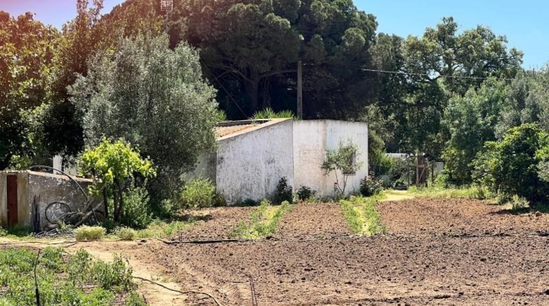 Cádiz - Vejer de la Frontera - 37m2