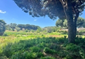 Casa de camp amb terreny en venda a la España, Vejer de la Frontera, ref.: TR162060 foto