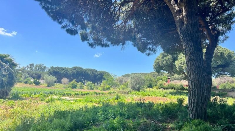 Cádiz - Vejer de la Frontera - 37m2