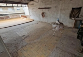 Casa de pueblo en venta en la España, Murcia, ref: TR214886 foto