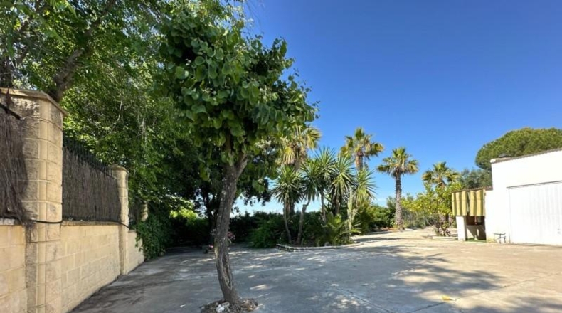 Cordova - La Carlota - 3500m2