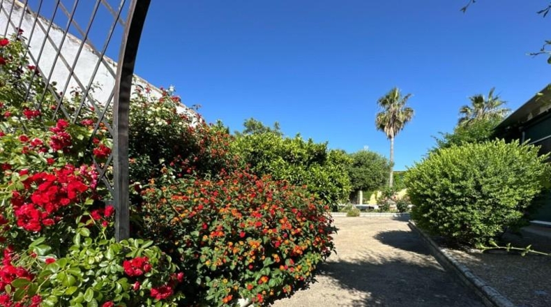Cordova - La Carlota - 3500m2