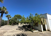 Finca rústica en venda a la España, La Carlota, ref.: TR293365 foto
