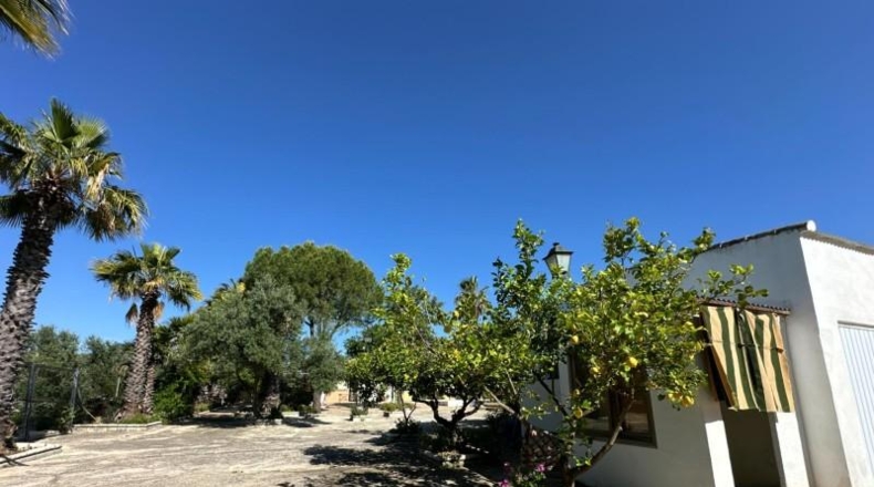 Cordova - La Carlota - 3500m2