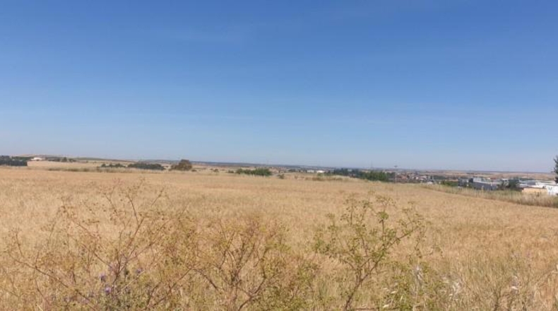 Salamanca - Salamanca - 10558m2