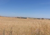 Terreny no urbanitzable en venda a la España, Salamanca, ref.: TR129646 foto