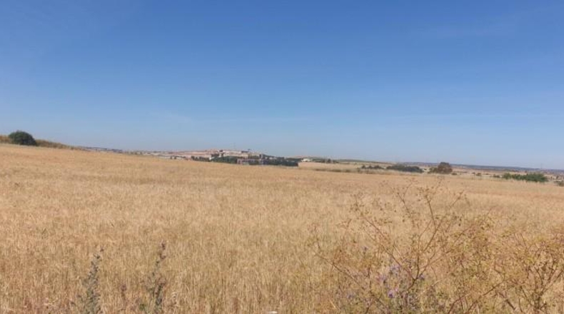 Salamanca - Salamanca - 10558m2