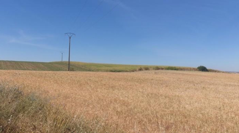 Salamanca - Salamanca - 10558m2