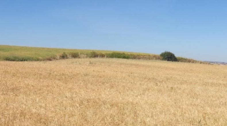 Salamanca - Salamanca - 10558m2