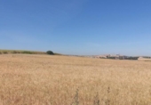 Terreny no urbanitzable en venda a la España, Salamanca, ref.: TR129646 foto