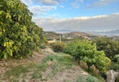 House with land for sale on España, Motril, ref: TR294839 photo