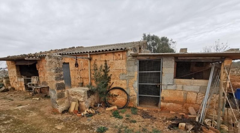 Islas Baleares - Son Bauló - 17500m2