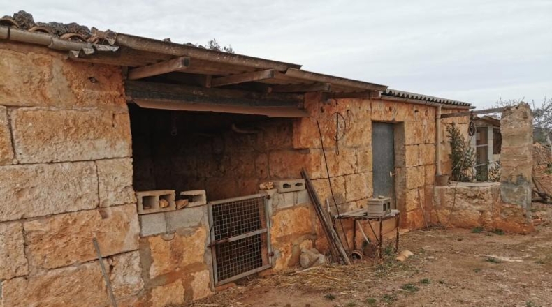 Islas Baleares - Son Bauló - 17500m2