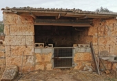 Non-developable land for sale on España, Santa Margalida, ref: TR127859 photo