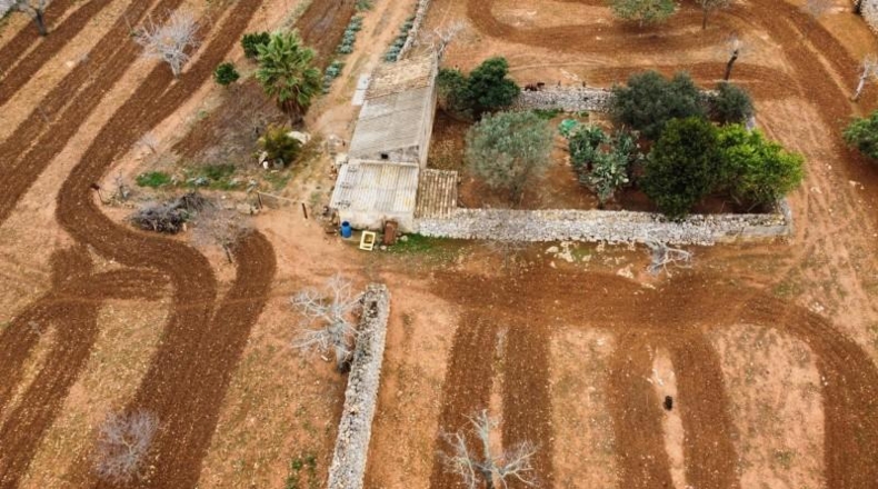 Islas Baleares - Son Bauló - 17500m2