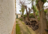 Chalet independiente con terreno en venta en la España, Amposta, ref: TR379510 foto